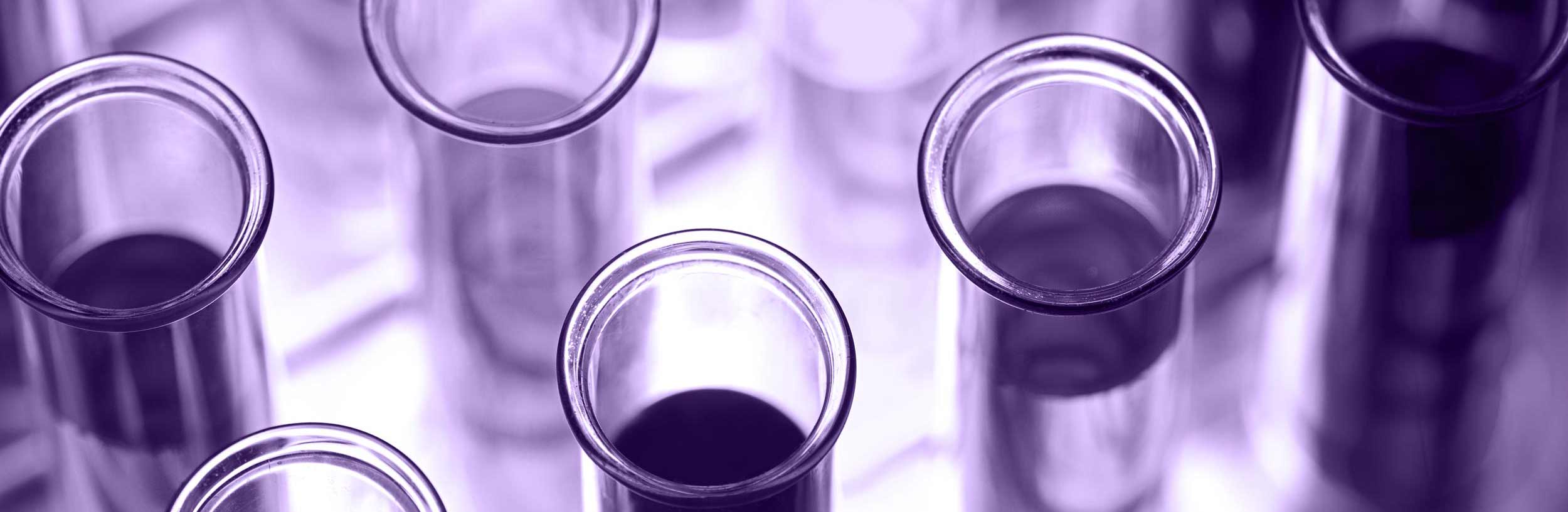 Chinese New Year Holiday extension HEADER