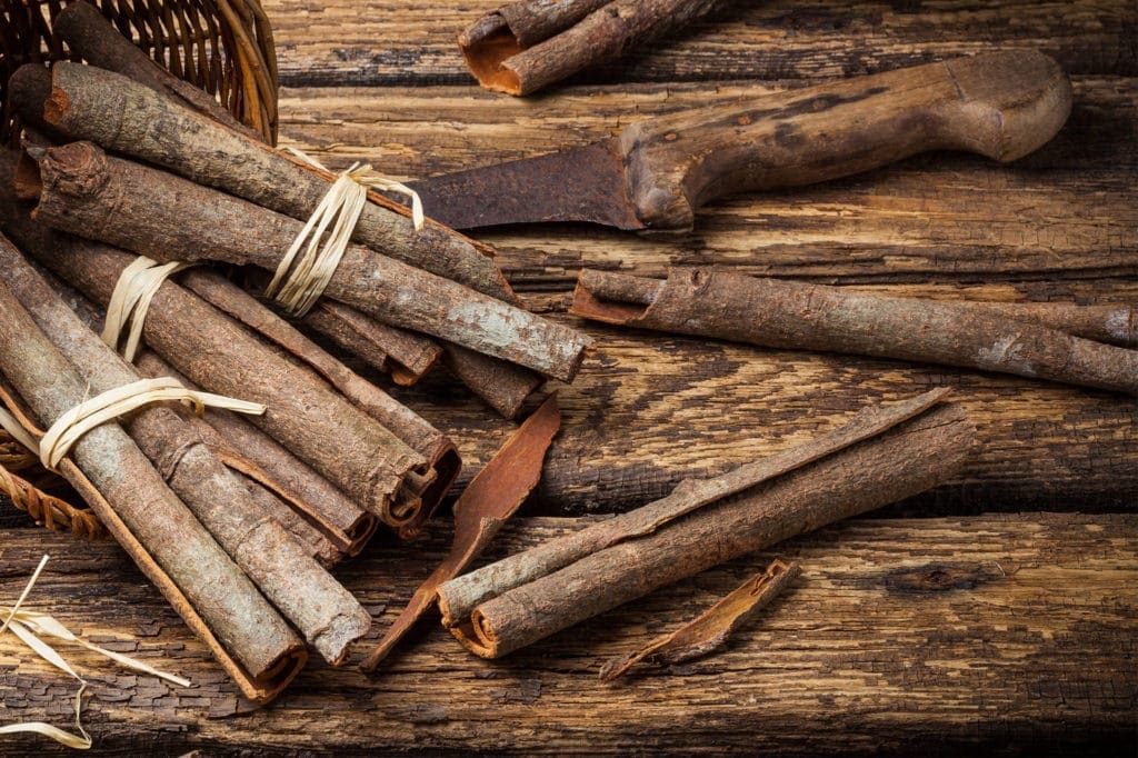 Cinnamon Bark Oil HEADER