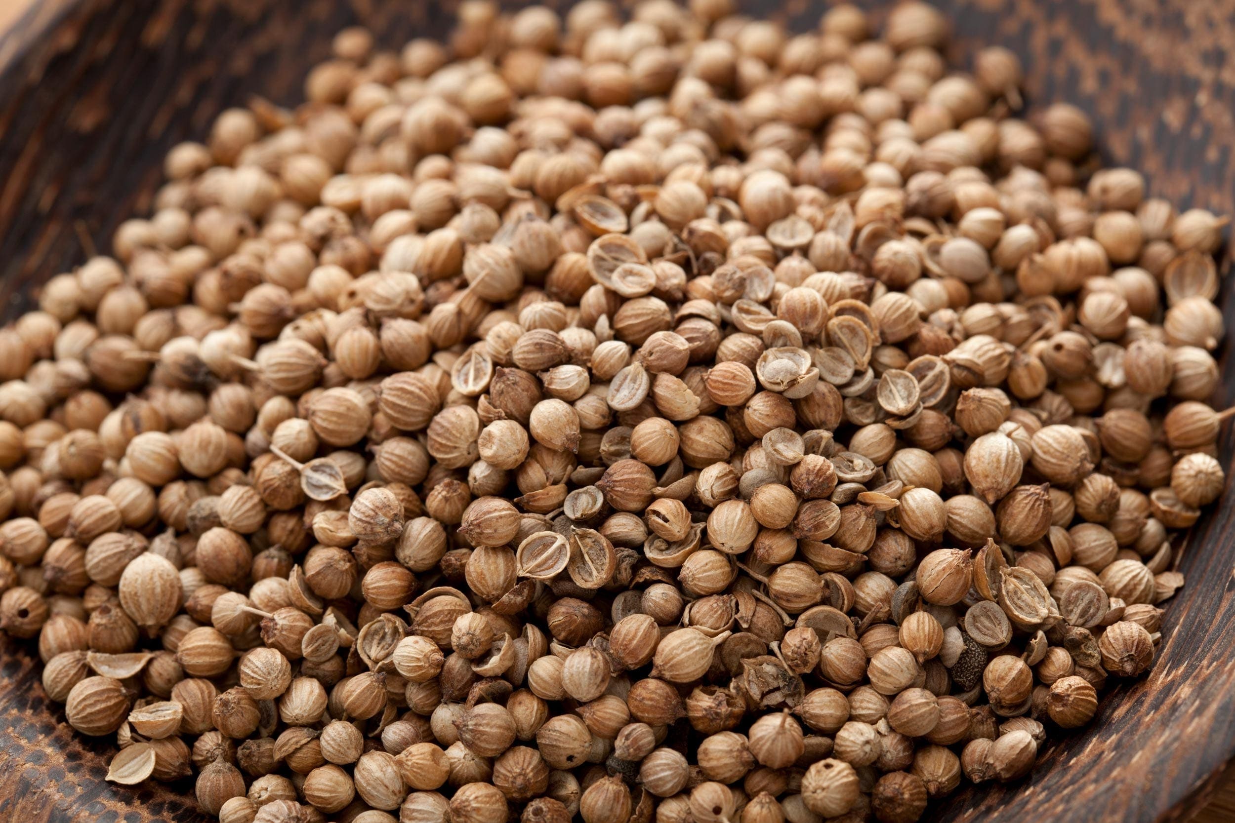 Coriander Seed Oil HEADER