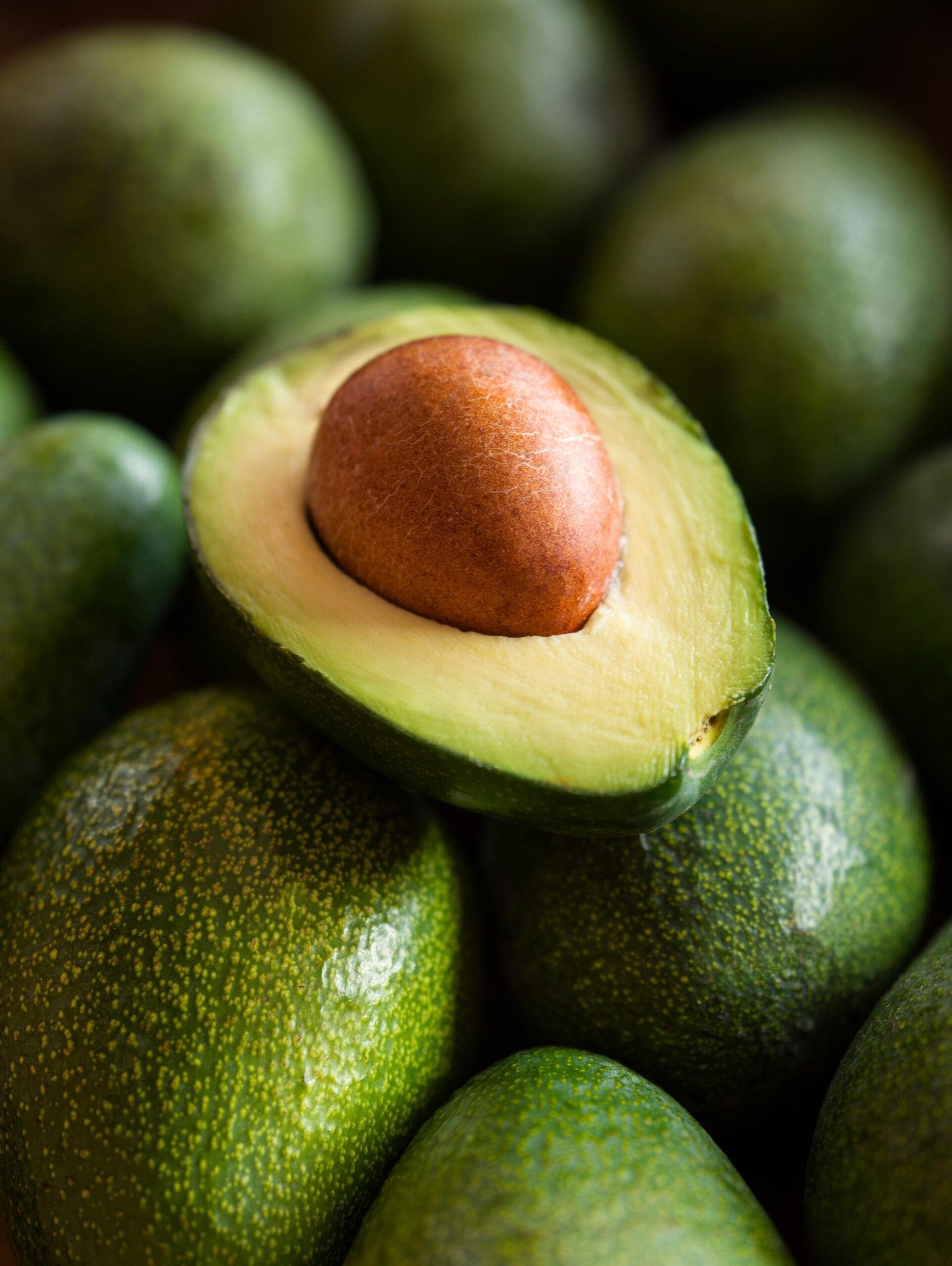 Avocado Oil HEADER