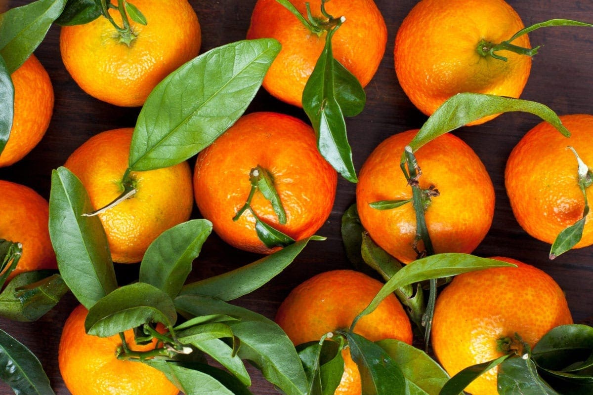 Mandarin Oil Green HEADER