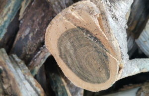 Guaiacwood Oil CITES