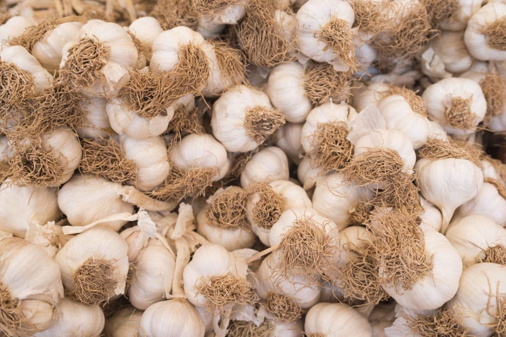Garlic Oil