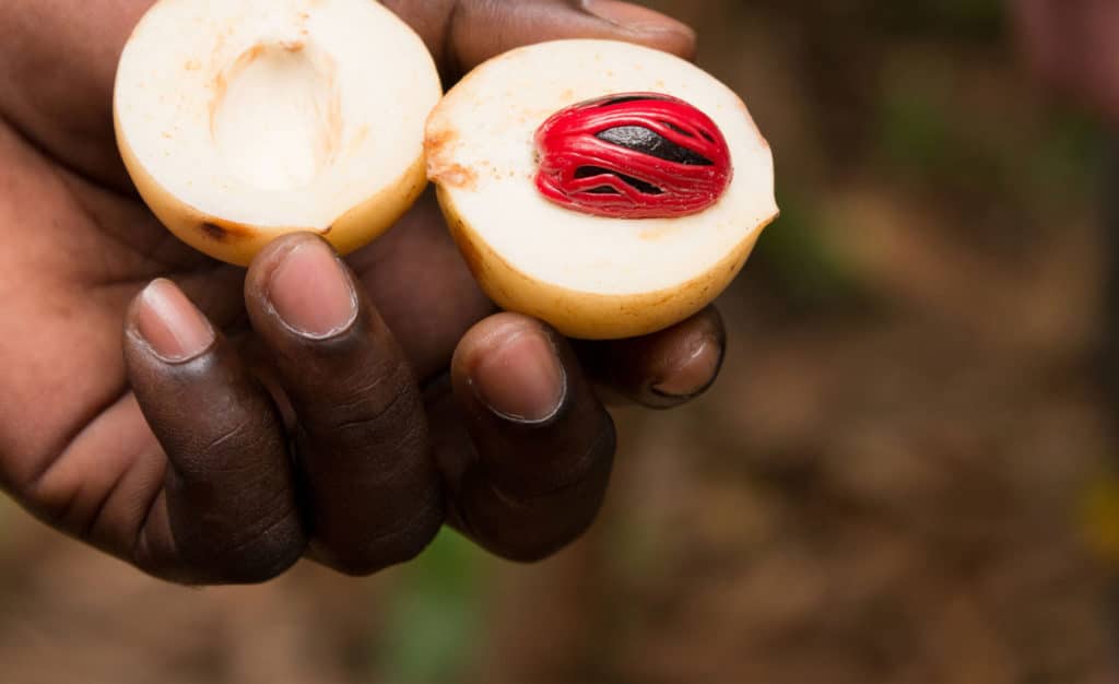 Nutmeg Oil