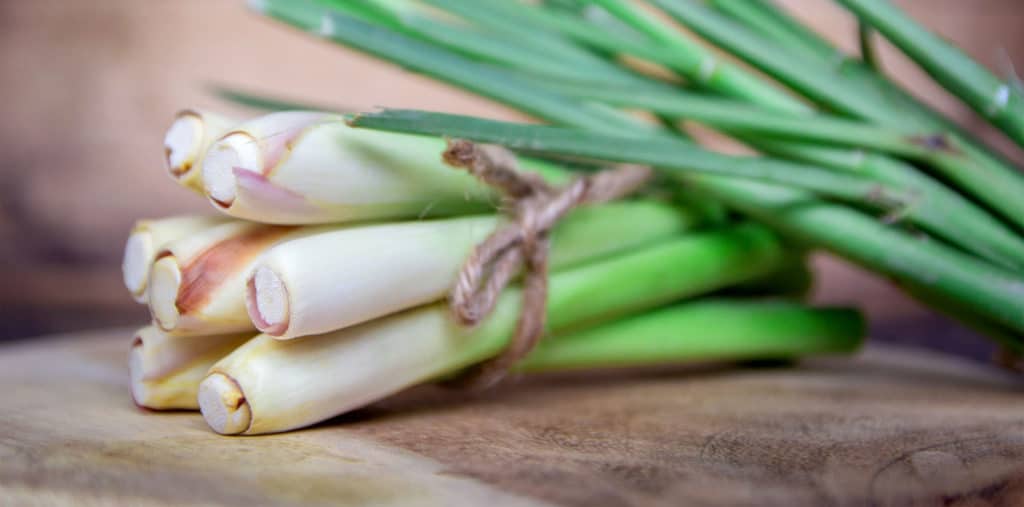 Lemongrass oil India