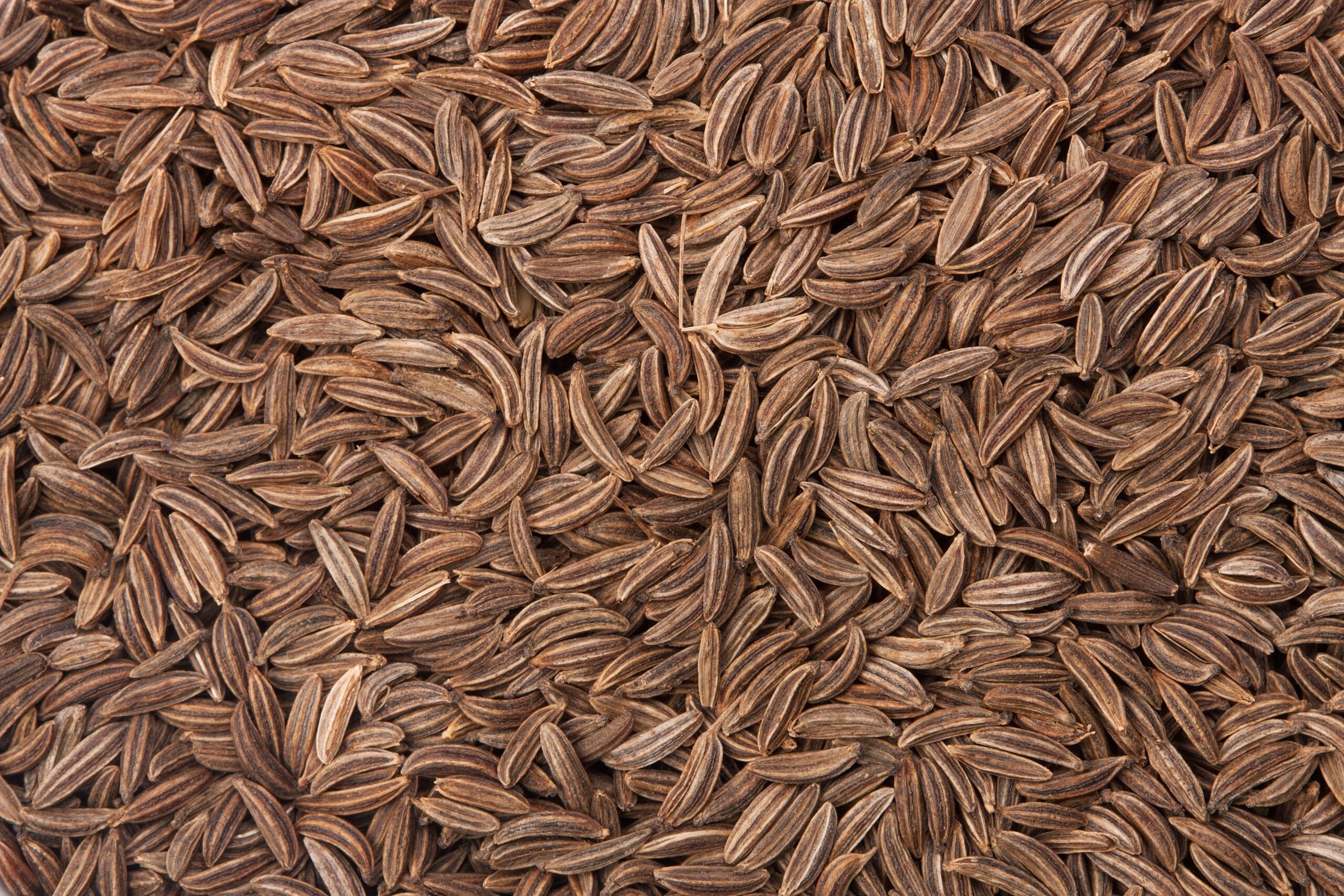 Cumin Seed Oil