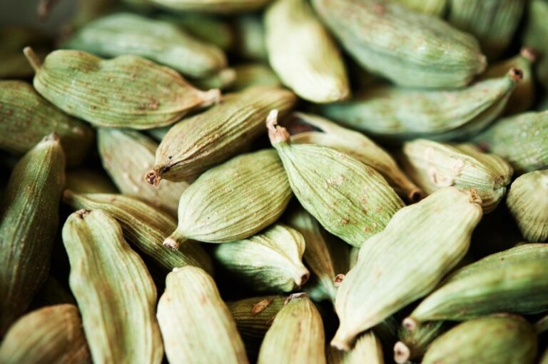 Cardamom Oil