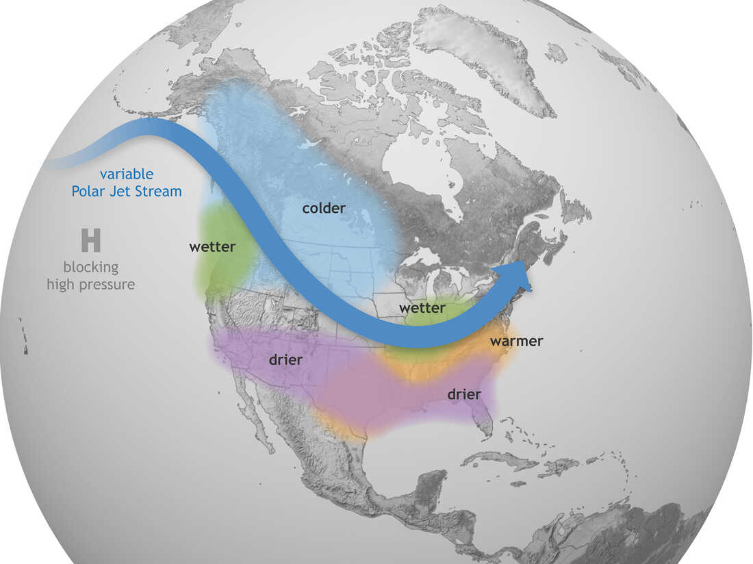 Berjé Barometer – The Return of La Niña HEADER