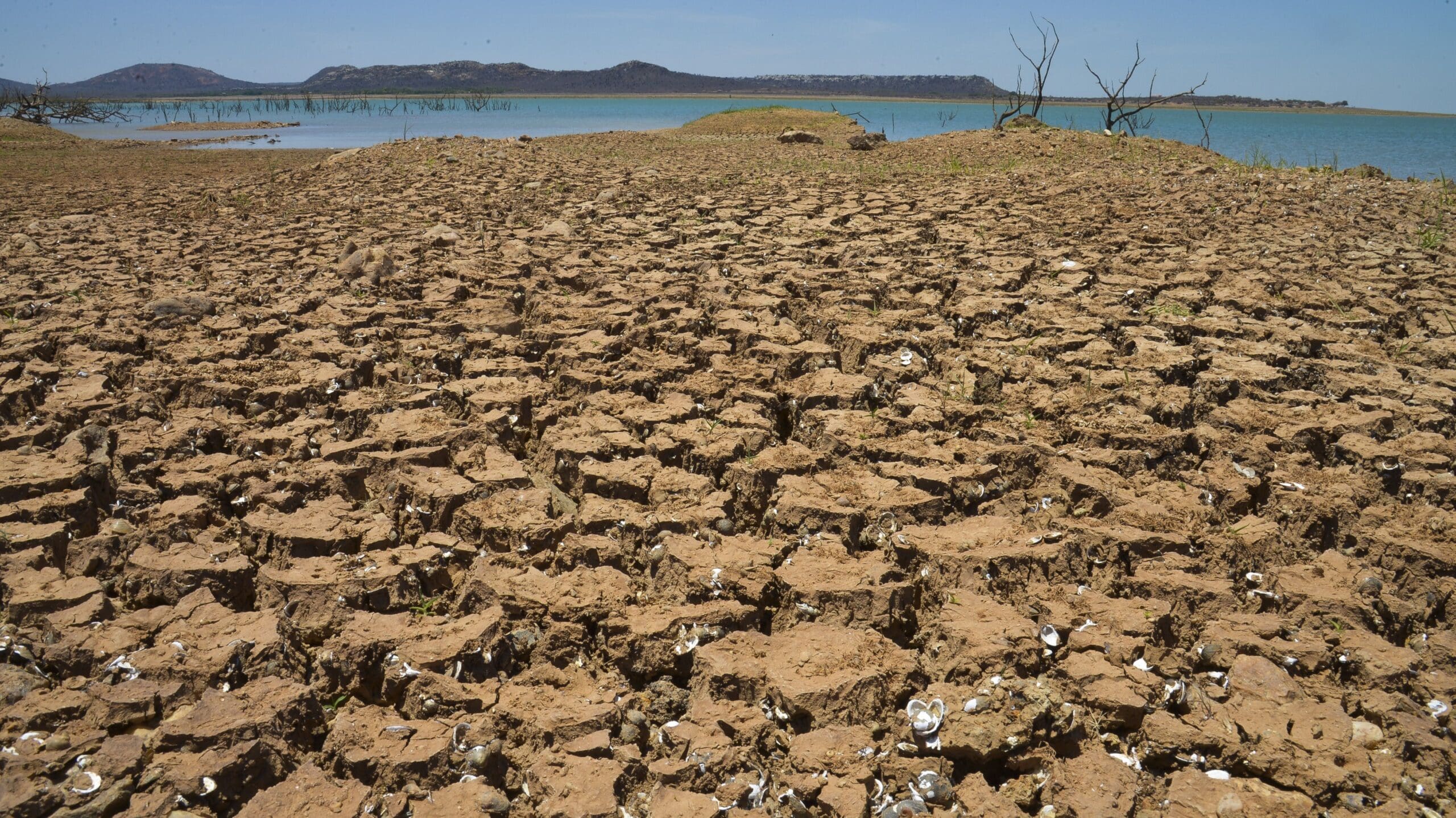 Berjé Barometer – Brazil’s 2021 Drought HEADER