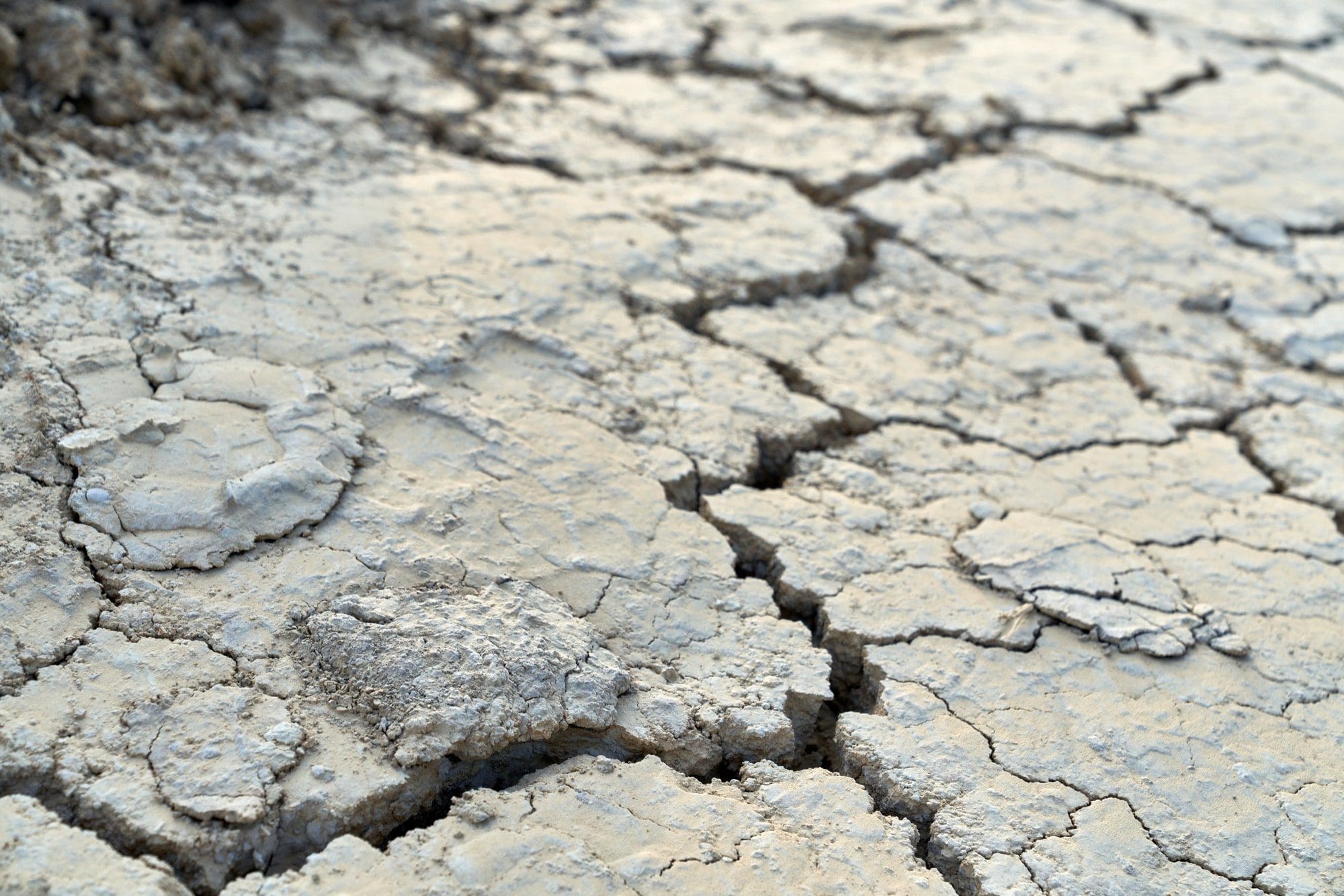 The Dry Side of La Niña HEADER