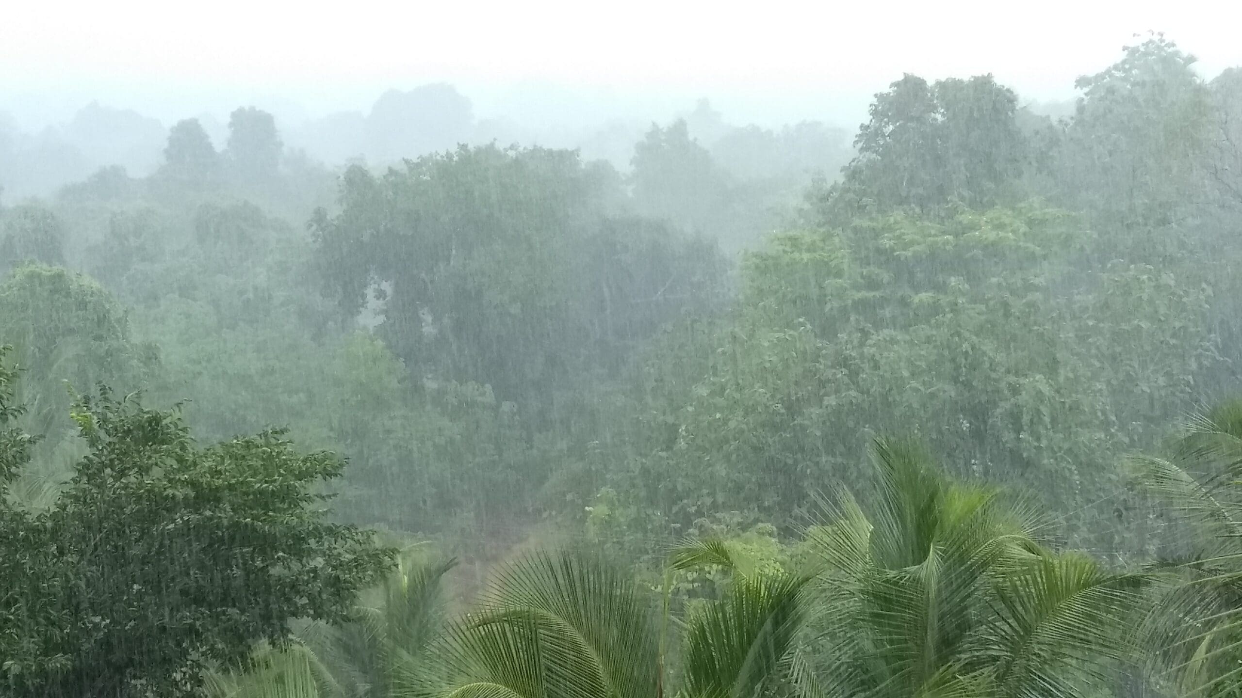 Berjé Barometer – Indonesian “Dry” Season
