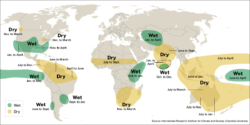 The Effects of El Niño in 2024