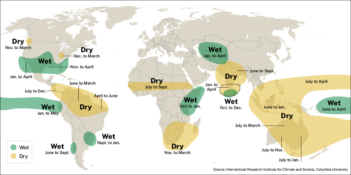 The Effects of El Niño in 2024 : Berjé Inc