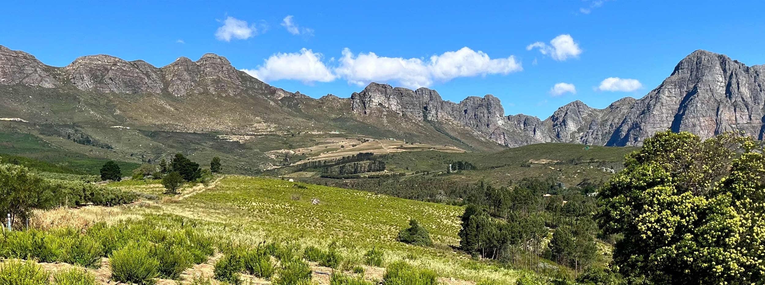 Sustainability HEADER