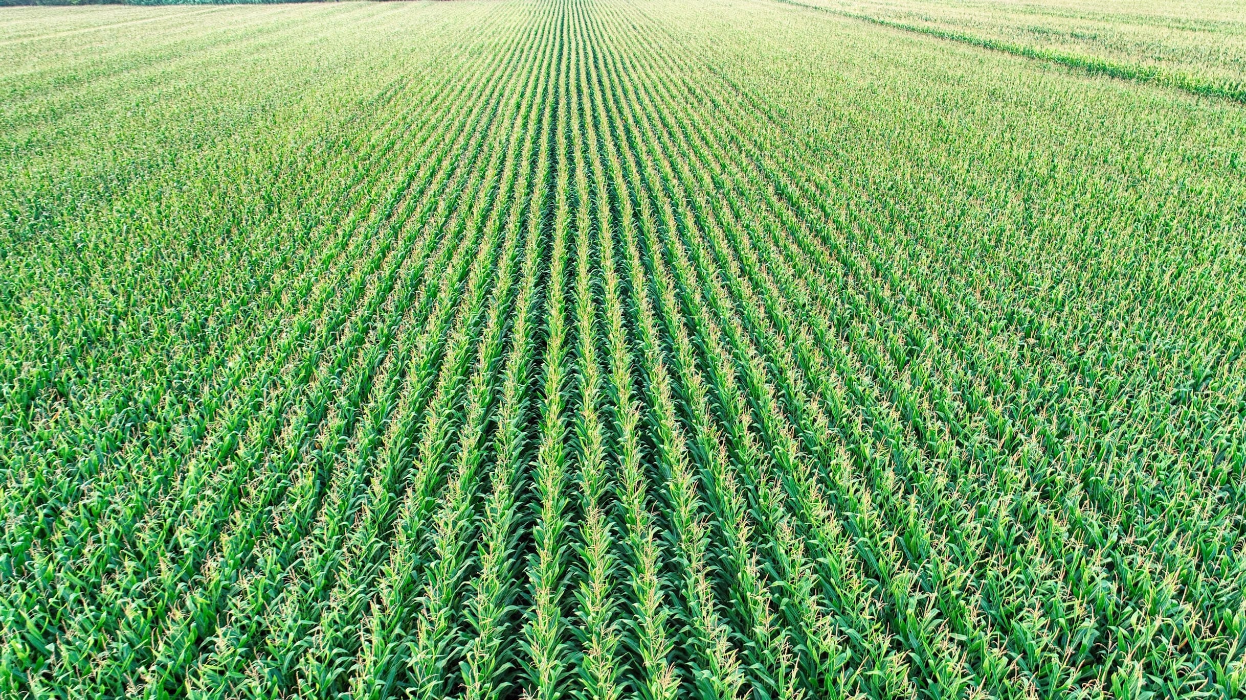 Oregon Tilth - Timeline Image 2004