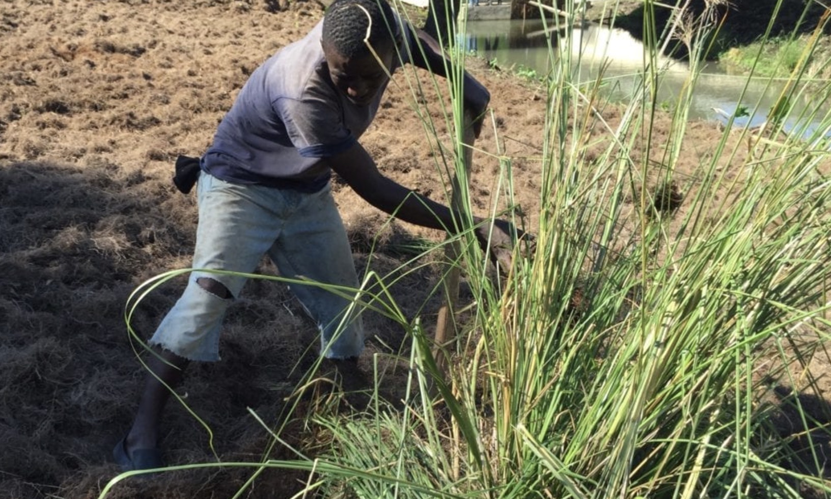 Responsible Sourcing & Sustainable Agriculture